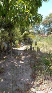 3 de fevereiro de 2023